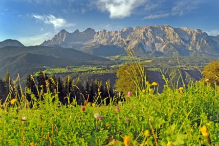 Urlaub im Haus Gerhadter in Ramsau am Dachstein