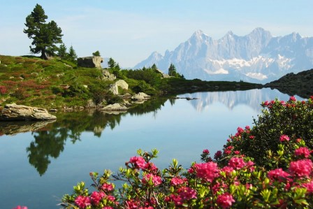 Sommerurlaub in Ramsau