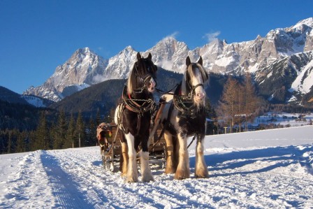 Pferdeschlittenfahrten in Ramsau am Dachstein