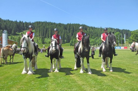 Haus Gerhardter beim Frühlingsfest der Pferde in Ramsau am Dachstein